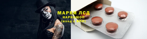 ECSTASY Каменногорск