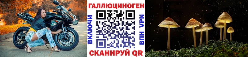 Псилоцибиновые грибы Psilocybine cubensis  Купить  Курганинск 
