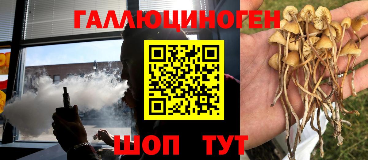 Псилоцибиновые грибы MAGIC MUSHROOMS Курганинск