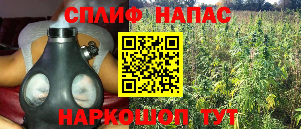 Бошки марихуана семена  Шишки марихуана AK-47  Курганинск  МАРИХУАНА планчик 